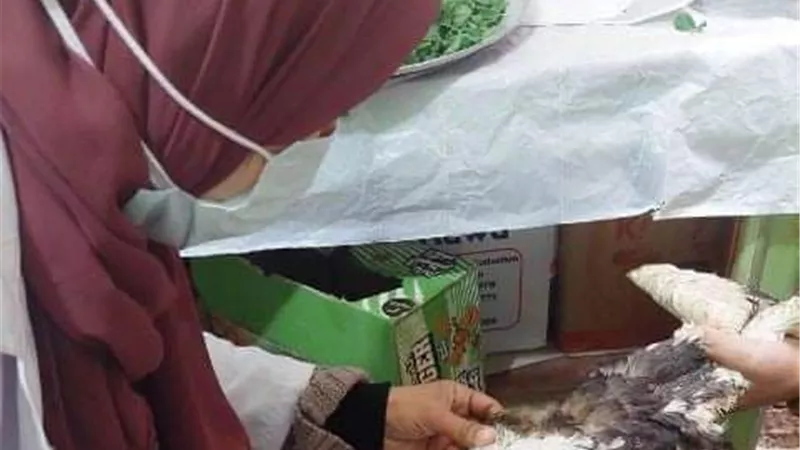 بيطري الشرقية يُحصن 369 ألفا و196 طائرا ضد مرض أنفلونزا الطيور والأمراض الوبائية ويعقد 260 ندوة إرشادية