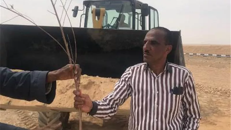 إزالة حالة تعدى بالبناء على الأراضى بالزينية شمال الأقصر