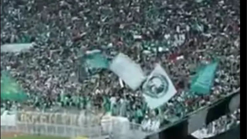 هتفت للجزائر وفلسطين.. جماهير الرجاء المغربي حديث الكرة العربية مجددا.. فما الأسباب؟.. فيديو