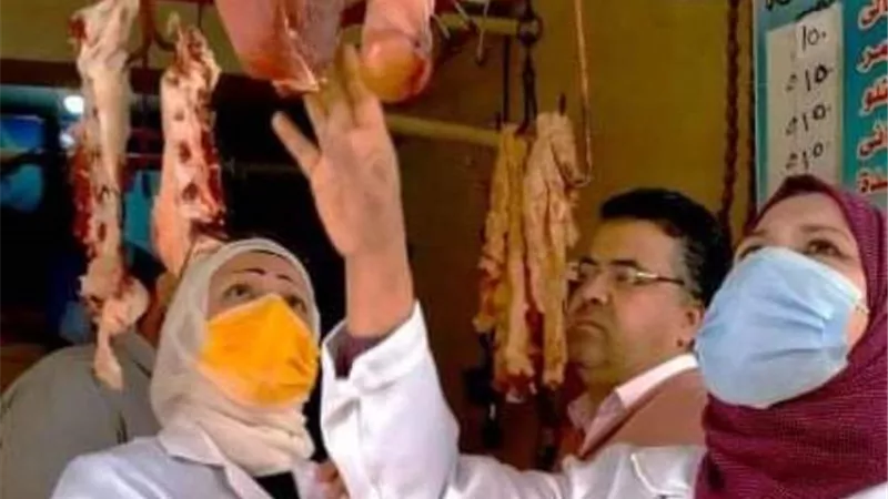 بيطرى الشرقية يحرر 133 محضر ويضبط 6 طن لحوم مخالفة.. بالصور
