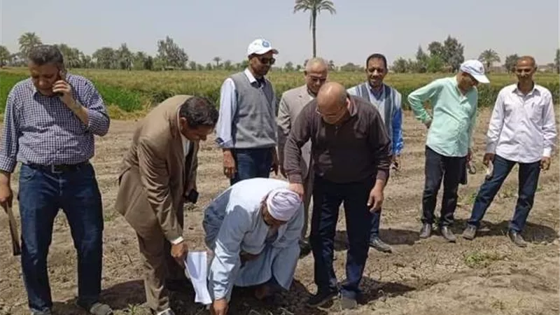 لجنه لفحص شكاوى مزارعى القطن فى بنى سويف
