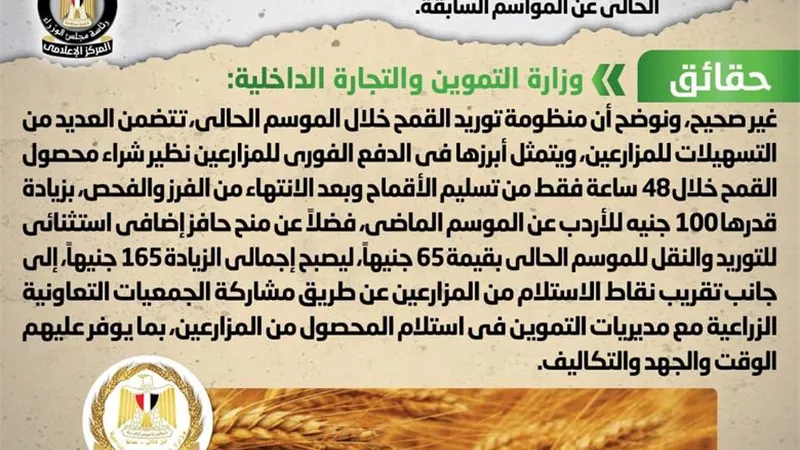 الحكومة تنفى تعقيد إجراءات توريد محصول القمح من المزارعين