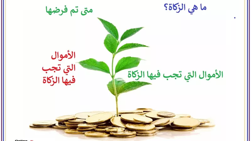 ما هي الزكاة .. ومتى فُرضت .. وما الفرق بينها وبين الصدقة؟ ..تعرف على التفاصيل