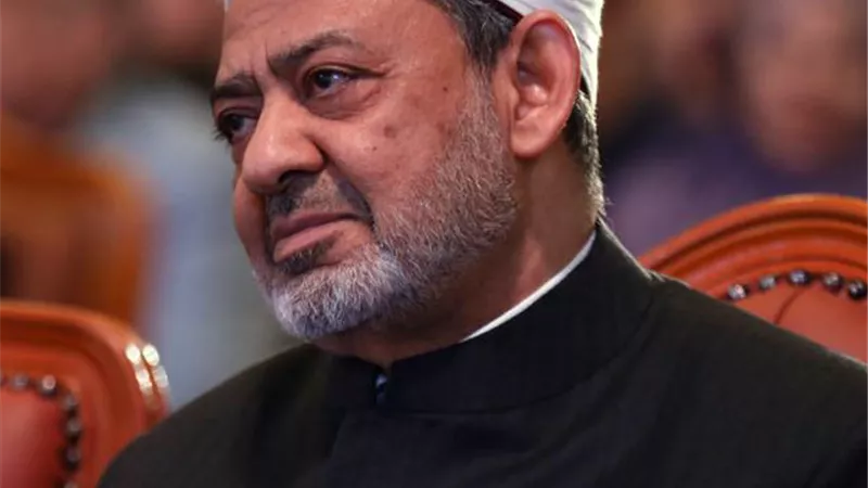 شيخ الأزهر: مقابلة الإساءة بالإحسان ليست ضعف وخضوع