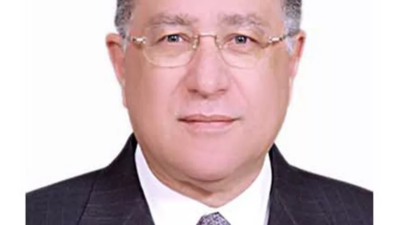 شعراوي: مبادرات الرئيس السيسي أسهمت في التخفيف من أزمة روسيا وأوكرانيا