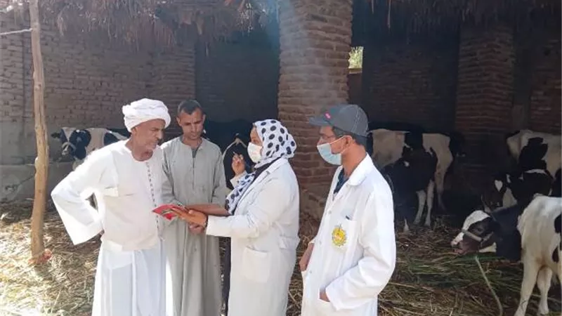 تحصين ٤٢ الف رأس من المواشى والأغنام بالأقصر