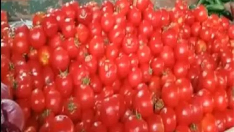 وزير الزراعة يكشف سبب جنون أسعار الطماطم