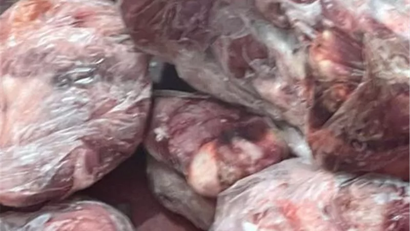 ضبط طن ونصف لحوم فاسدة في الإسماعيلية