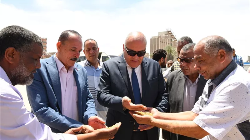 خلال الإسبوع الأول لموسم حصاد الذهب الأصفر .. توريد 735 طن قمح بقنا