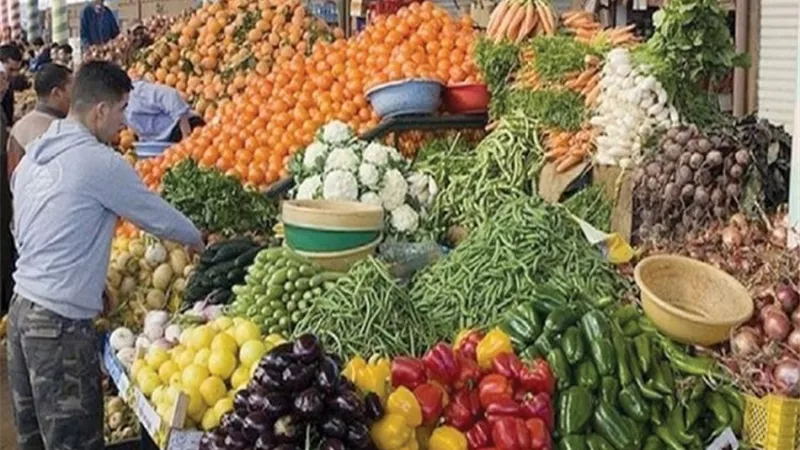 الزراعة: مصر حريصة على تلبية جميع احتياجات المواطن من السلع الأساسية