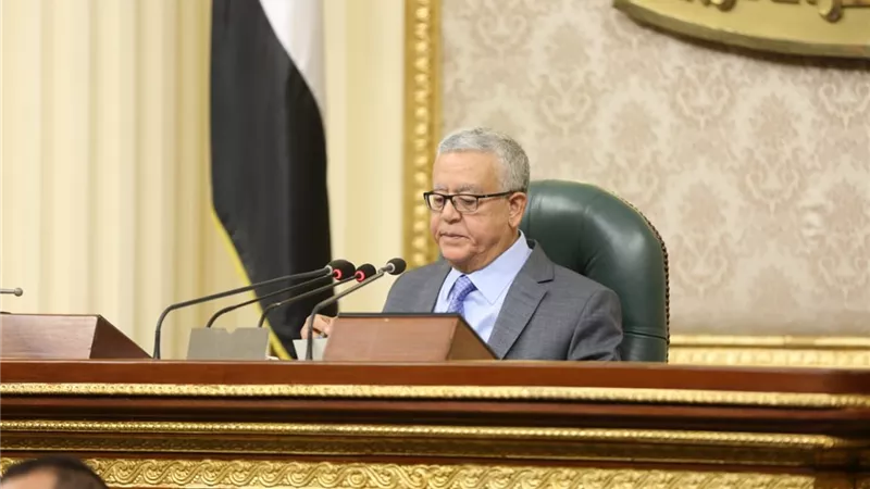 النواب يعلن رفض طلب برفع الحصانة عن النائبة رقية الهلالي