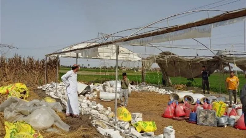 حملات يومية لرفع الإشغالات المخالفة من الشوارع والتصدي للبناء العشوائي بالشرقية