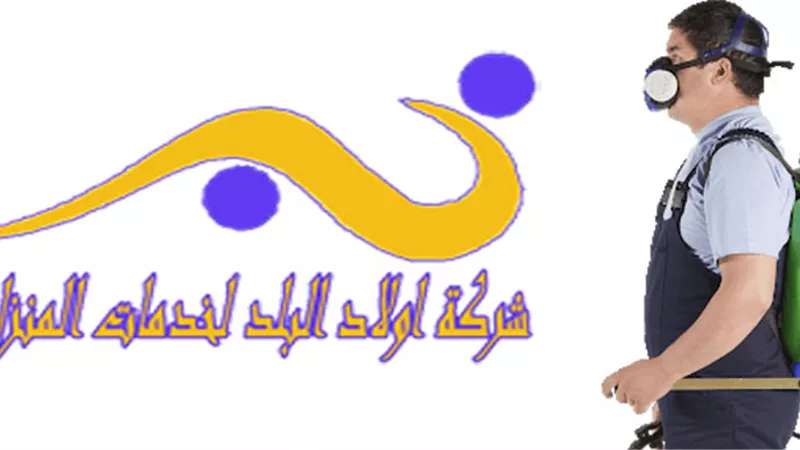 شركه ولاد البلد رائدة في تقديم الخدمات المنزليه كل حاجه عندنا لها حل