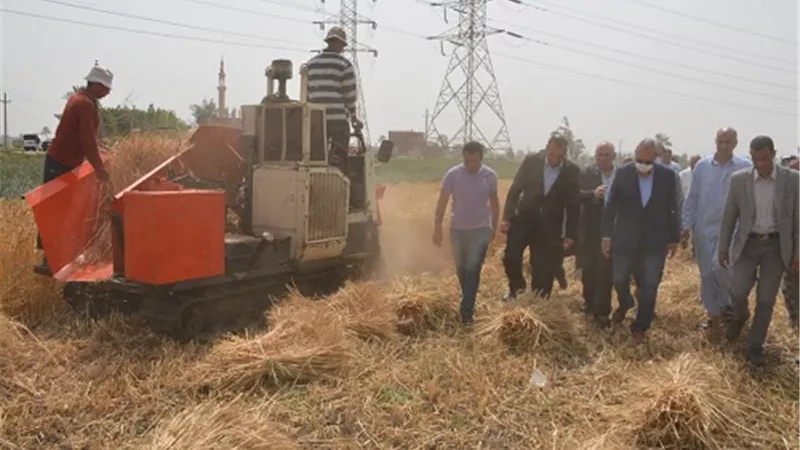محافظ القليوبية يتفقد عددا من حقول القمح بمدينتي كفر شكر والقناطر الخيرية