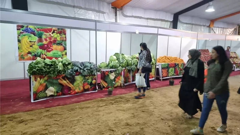 محافظة الجيزة..٣ منافذ جديدة لبيع الخضراوات والفاكهة بأسعار مخفضة ببولاق والطالبية والصف