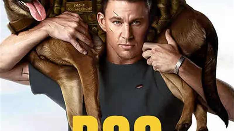 فيلم Dog يحقق 75 مليونًا و 699 ألف دولار بشباك التذاكر العالمى
