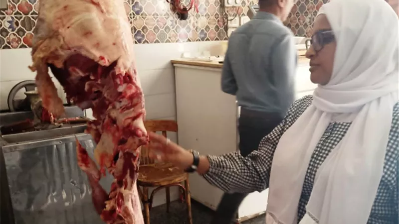 حملة بيطرية للتفتيش على محلات الجزارة وثلاجات اللحوم فى أسوان