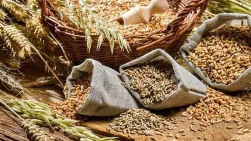 أسعار القمح فى كوريا الجنوبية تصل لأعلى مستوى منذ 13 عامًا