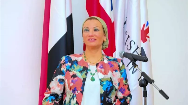ياسمين فؤاد: القيادة السياسية تولى البعد البيئى أهمية كبيرة وتضعه على رأس اولوياتها