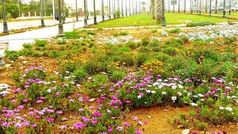 جهاز ٦ أكتوبر يعلن خطة التجميل والزراعة بمناسبة أعياد الربيع وجدول مكافحة الحشرات.. بالصور
