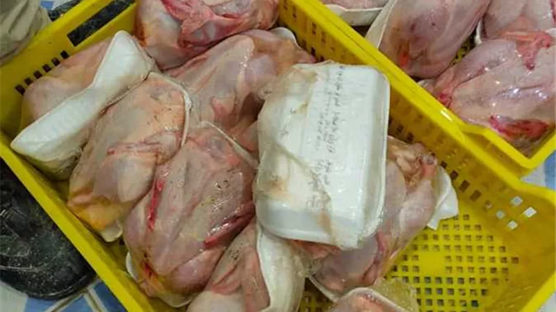 ضبط 2,5 طن دواجن مجمدة مجهولة داخل مخزن تابع لإحدى المستشفيات بالأقصر
