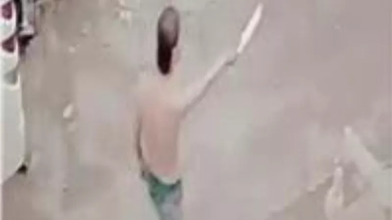 تفاصيل فيديو لشخص يروع المواطنين بكلب وسلاح أبيض بكفر الشيخ