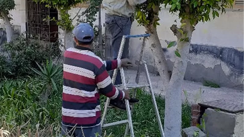 رفع 280 طن قمامة و6 طن اتربة من الشوارع والميادين بالمنصورة