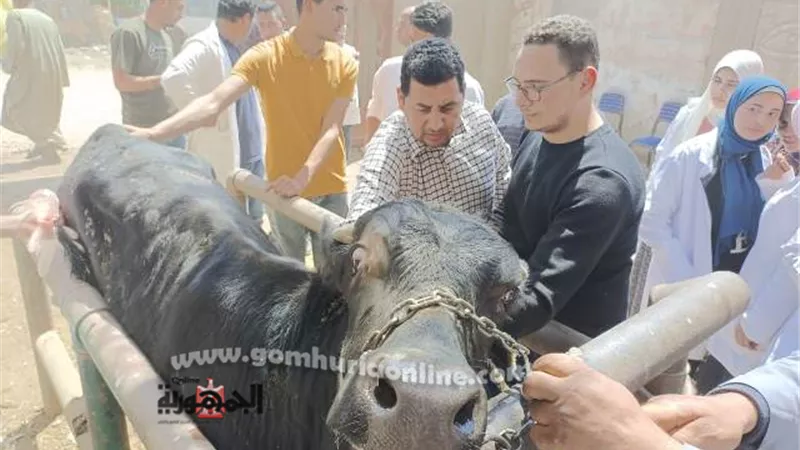 جامعة السادات تنظم قافلة بيطرية زراعية بقرية منشأة سلطان بمنوف