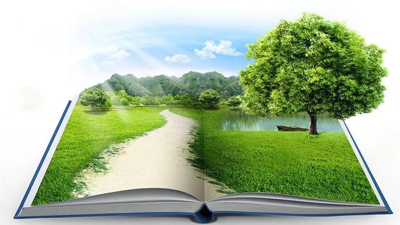 المتحدث العسكري: التنمية الضامن الحقيقي للقضاء على الإرهاب