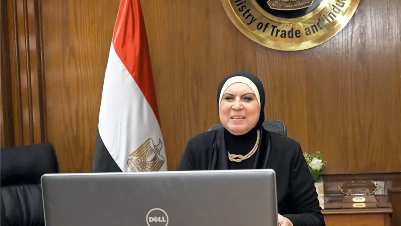 نيفين جامع: دور ريادي لمنظمات العمل العربي في تنمية المواطن ورفع مستويات المعيشة