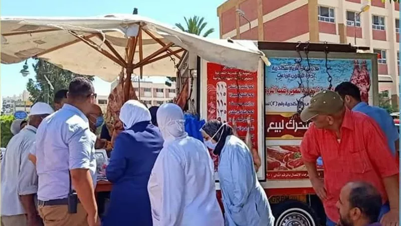 زيادة المنافذ الثابتة والمتحركة للمواد الغذائية من الزراعة باحياء الاسكندرية