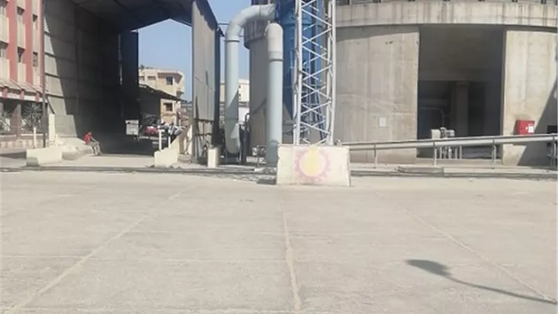 قمح كفرالشيخ وصل الصوامع