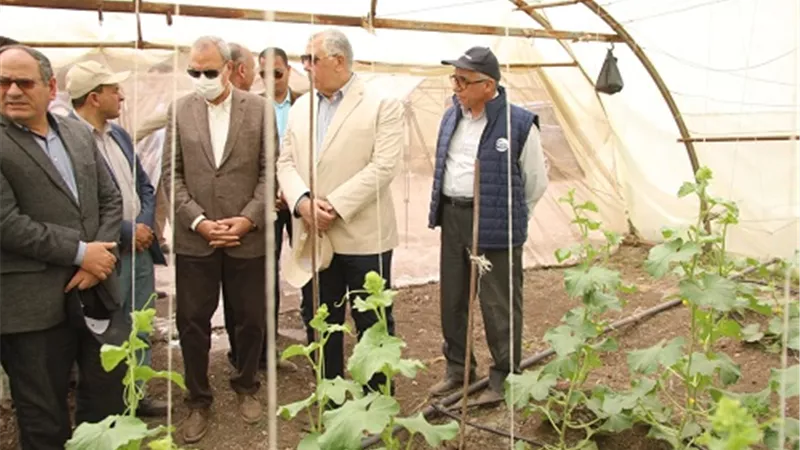 وزير الزراعة ومحافظ القليوبية يتفقدان المشروع القومي للتقاوى بمدينة قها.. صور