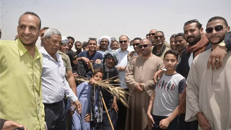 محافظ أسيوط يتفقد حصاد القمح بمركز أبوتيج ويعلن تقديم كافة الدعم للمزارعين