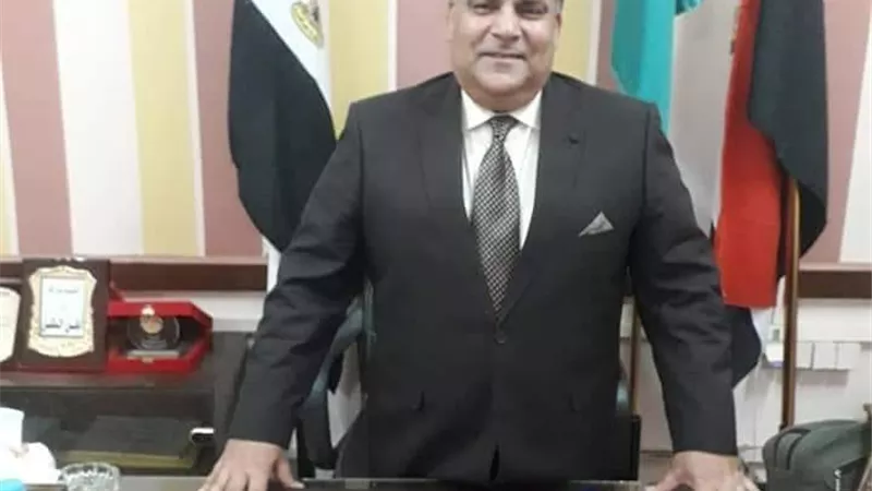 المستشار محسن لطفى
