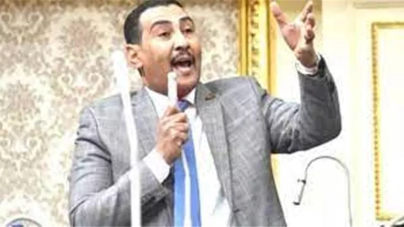 وكيل طاقة النواب: قرارات الرئيس بإفطار الاسرة المصرية عبور كامل للتنمية الاقتصادية والسياسية