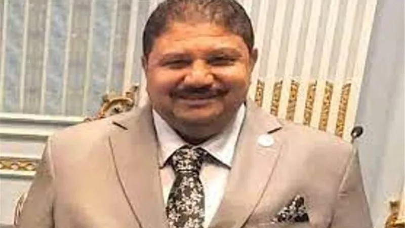 برلماني: قرارات الرئيس السيسي بدعم القطاع الخاص وتوطين الصناعات تصب في صالح الاقتصاد