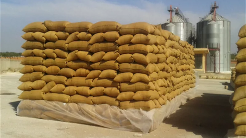 محافظ المنيا : توريد 803 الاف طن من القمح فى 44 مركزا بقرى ومدن المحافظة