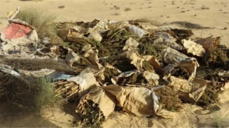 ضبط 1500 كيلو جرام بانجو خلال مداهمة الظهير الصحراوى
