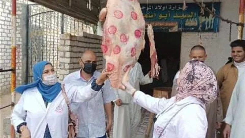 إستعداداً لإستقبال عيد الفطر.. بيطري الشرقية يضبط 535 كجم لحوم وأسماك ورنجة مخالفة