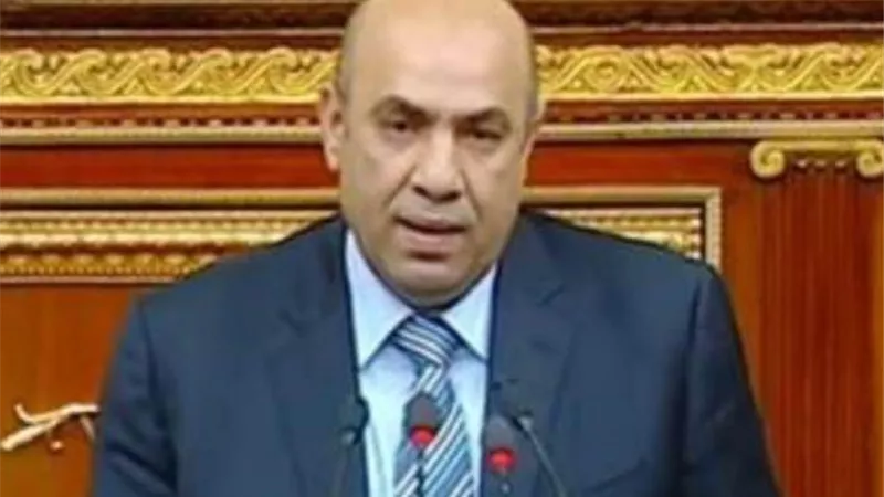 النائب علاء عبدالنبي : قرارات الرئيسي السيسي بدعم الصناعة تعمل علي خفض البطالة