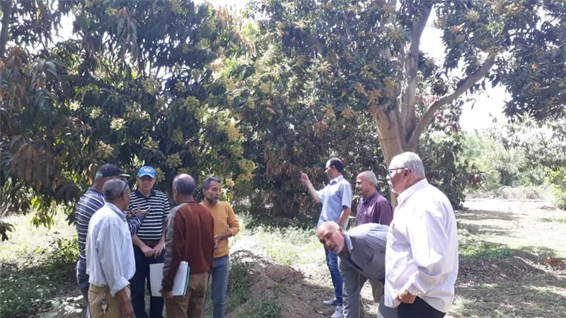 رئيس مكافحة الآفات بوزارة الزراعة يتفقد محاصيل الإسماعيلية..صور