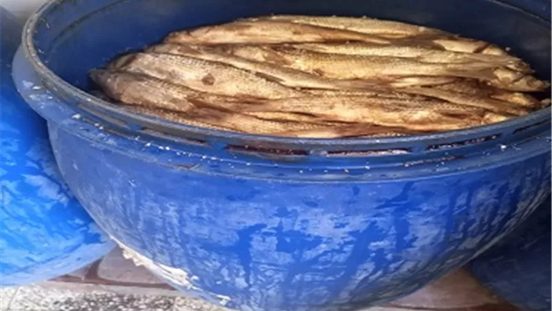 محافظ كفر الشيخ: ضبط 850 كيلو جرام أسماك مملحة..وتكثيف الرقابة على الأسواق