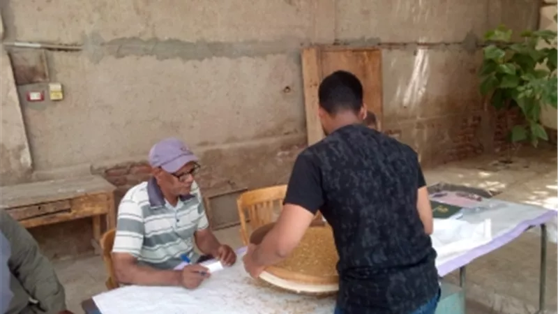 توريد ٤٩٧ طن قمح بشون وصوامع الأقصر بنسبة ١.٥ %من السعة التخزينية