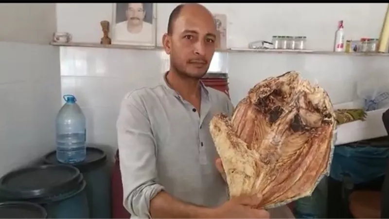 تعرف على سعر السمك الناشف طريقة طهيه بالبحرالأحمر