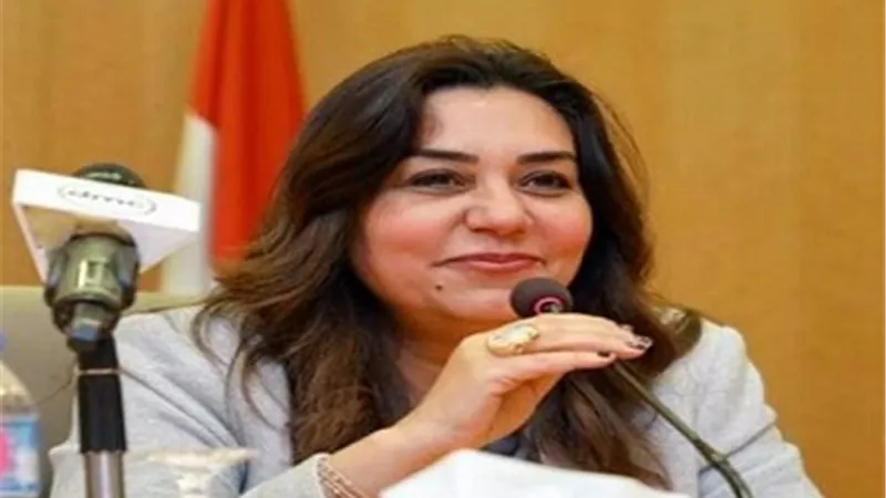 ضبط فسيخ ورنجة ولحوم غير صالحة للإستهلاك الآدمى بدمياط