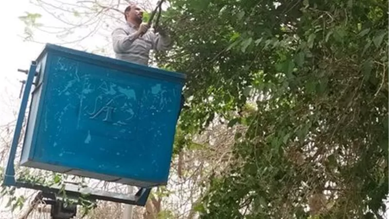 رفع كفاءة الإنارة العامة بالإسماعيلية ..صور