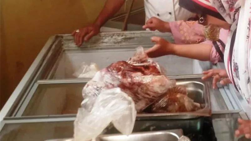 الطب البيطرى يضبط 189 كجم لكبدة غير صالحة للإستهلاك الآدمى بأسوان