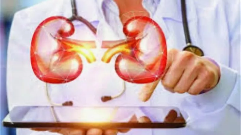 شروط تناول الطعام خارج المنزل لمرضى الكلى في رمضان.. انفوجراف