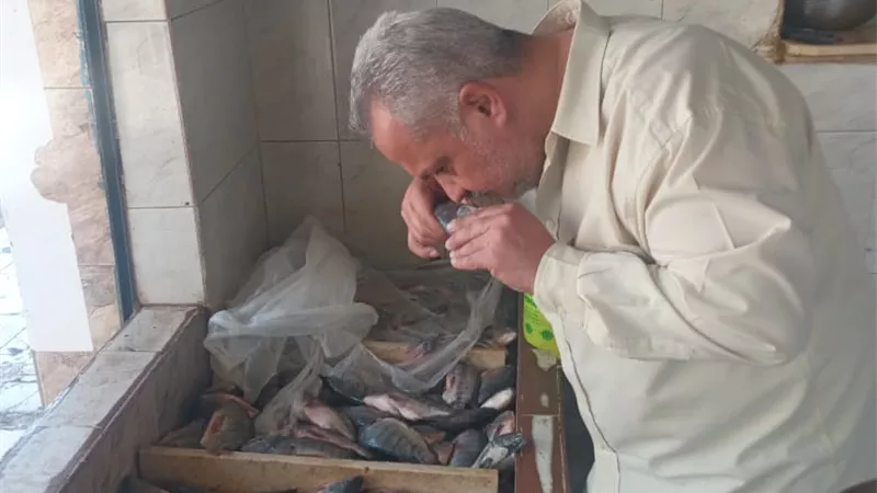 صحة الشرقية تعدم طن أغذية فاسدة وتغلق ٥ منشآت غذائية مخالفة
